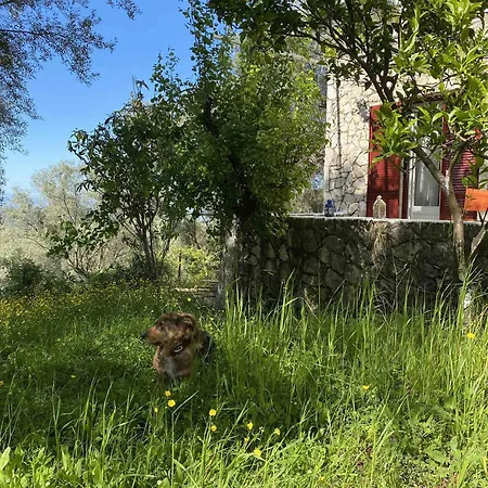 Stone House In With Garden *