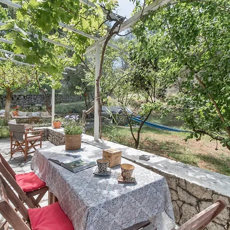 Stone House In With Garden *